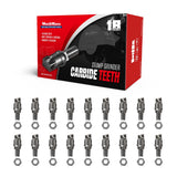 (1 Pack / 18 Pcs) Teeth and Nuts for Stump Grinder SG24; SG24PRO; SG28; SG30PRO; SG61, (SKU: 150151; 150151G; 150181; 150181G; 150182; 150182G; 150183; 150183G; 150501; 150602) thumbnail 1